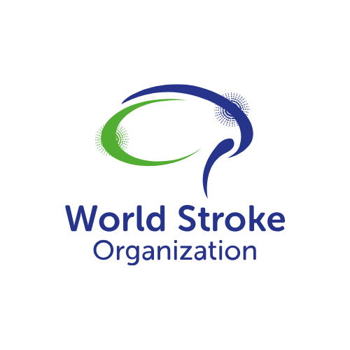 Read more about the article A Historic Moment for Global Stroke Action — And What It Means for Nigeria